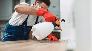 Reliable St James City, FL Pest Control Solutions